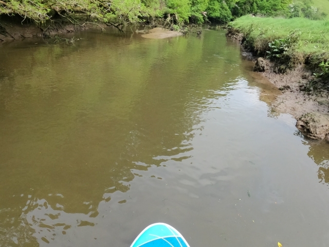  River SUP en Cornwall 