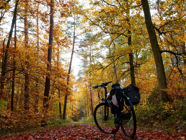  2 días de ciclismo 