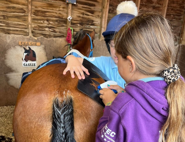  Actividades con caballos 