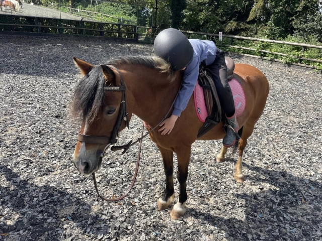  Mucha diversión a caballo 