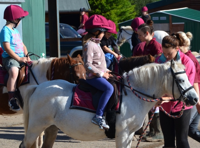  Paseo a caballo para principiantes 