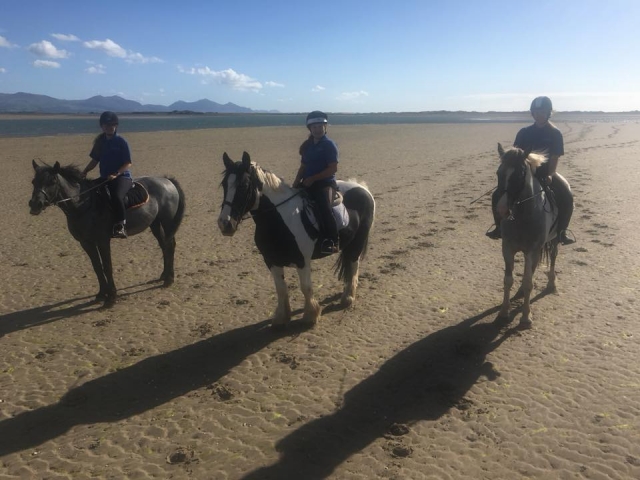  Pbaños a caballo para participantes experimentados