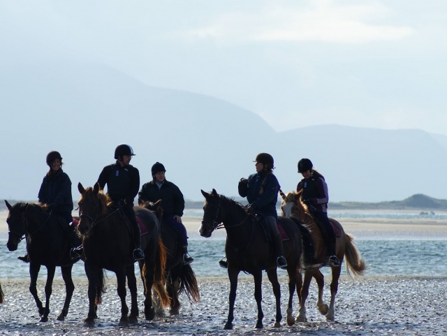  Galopando sobre la arena 