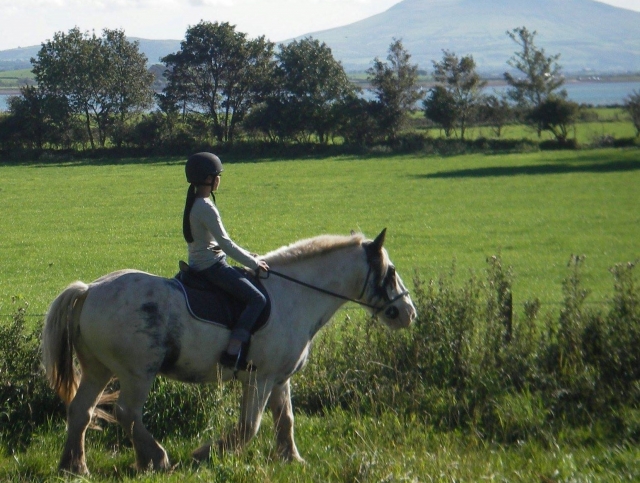  Caminos de herradura y cabalgamarras 