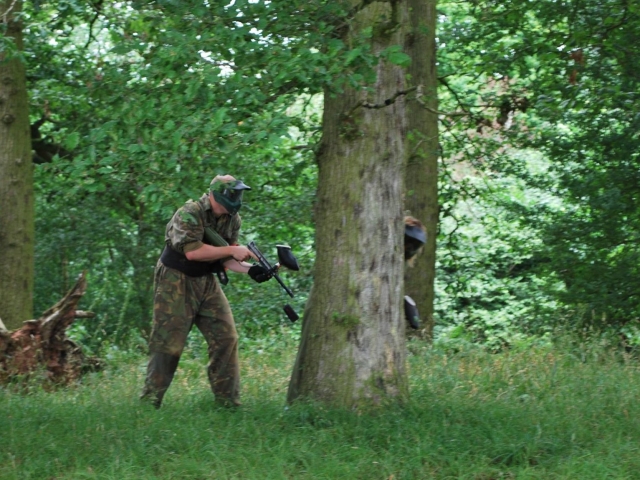  Sitio arbolado de gotcha 