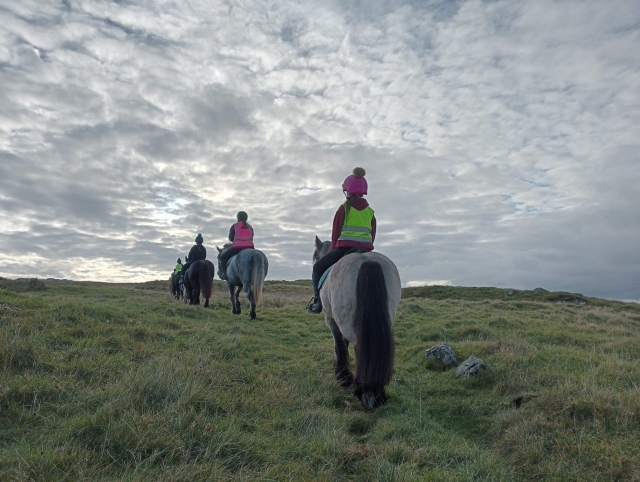  Experiencia a caballo para principiantes 