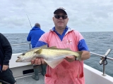 Excursión de pesca de día completo desde el puerto de Portsmouth