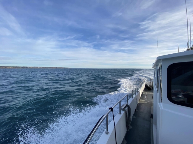  Renta de barco de pesca 