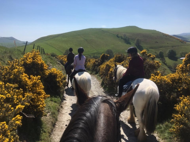  Senderos y caminos de herradura en Glyn Ceiriog 