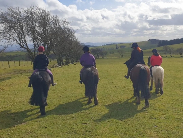  Hacking a caballo para jinetes experimentados