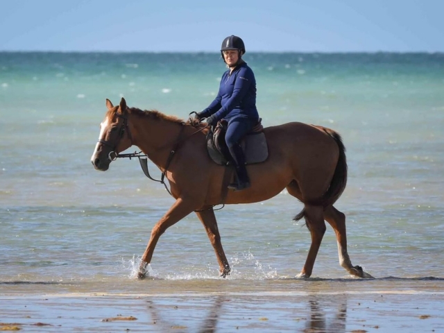  Los caballos aman el agua 