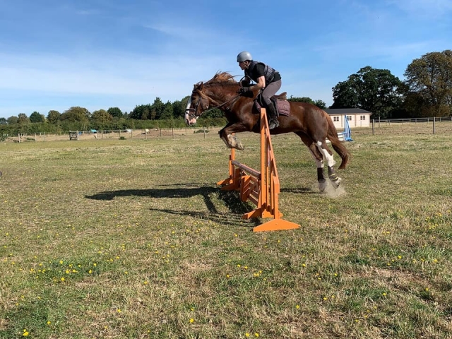 Lugar de 35 acres en Waterbeach