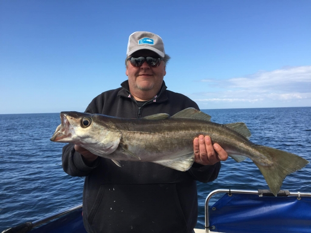 Mucho pescado en el mar