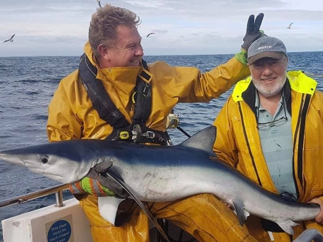  Día de pesca en el mar 