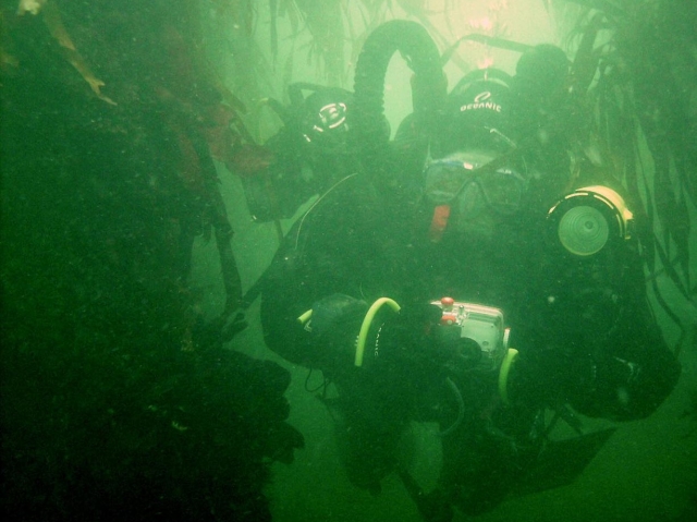  Aprenda habilidades de buceo especializadas 