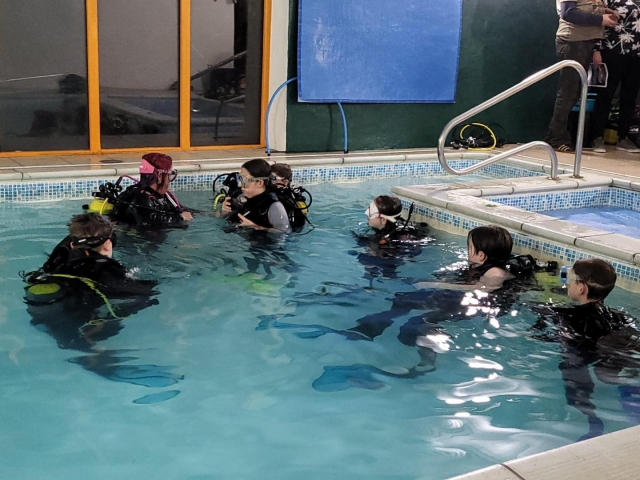  Sesiones en alberca dirigidas por un instructor