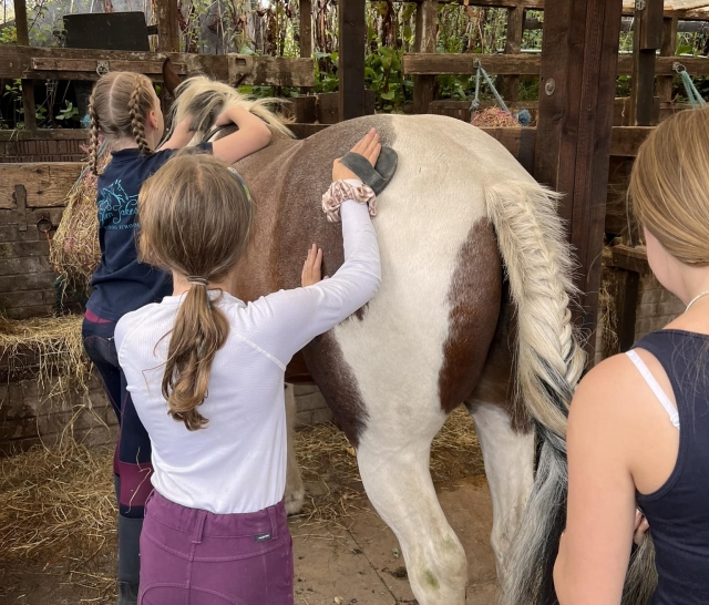 Algunos de nuestros alumnos preparando los caballos 