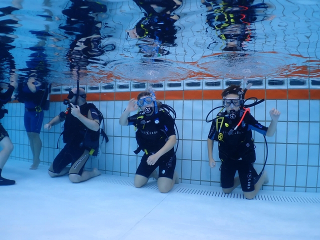 Primer baño en el agua con equipo de buceo