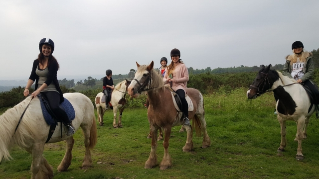  Un breve descanso para los caballos mientras suben 