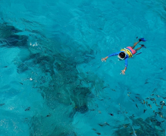 snorkel Alicanle