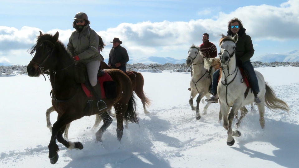 Cabalgamarra por la sierra de Madrid Cabalgamarra por la sierra de Madrid