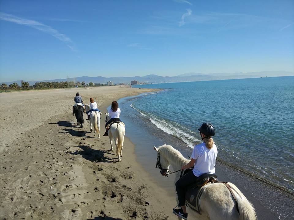 En la Costa del Sol a caballo En la Costa del Sol a caballo