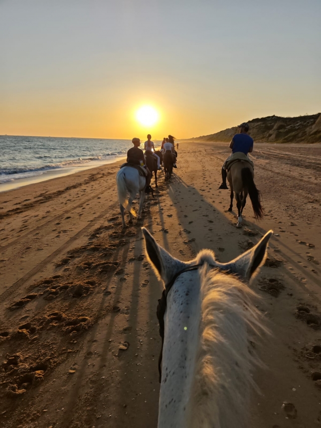 Opinión de Jessica sobre Cabalgamarra por Playa Dunas y Parque Doñana, 2h