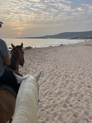 res_o-65427-rutas-a-caballo_de_cristina-castro-candido_img-5668_17556122915320.jpeg