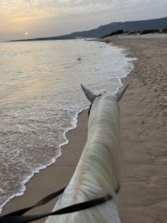 res_o-65427-rutas-a-caballo_de_cristina-castro-candido_img-5687_17556122837164.jpeg