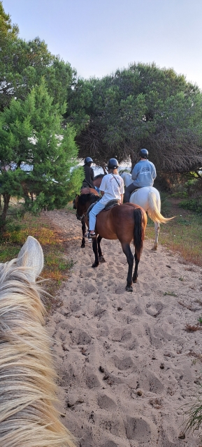Opinión de Mayte sobre Excursión a caballo puesta de sol Playa Bolonia 1h