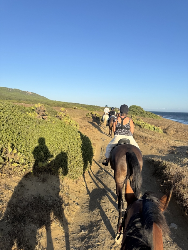 Opinión de Miguel sobre Excursión a caballo puesta de sol Playa Bolonia 1h