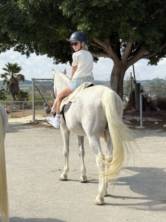 res_o-65510-rutas-a-caballo_de_surini-jennifer_img-4364_17559443581277.jpeg