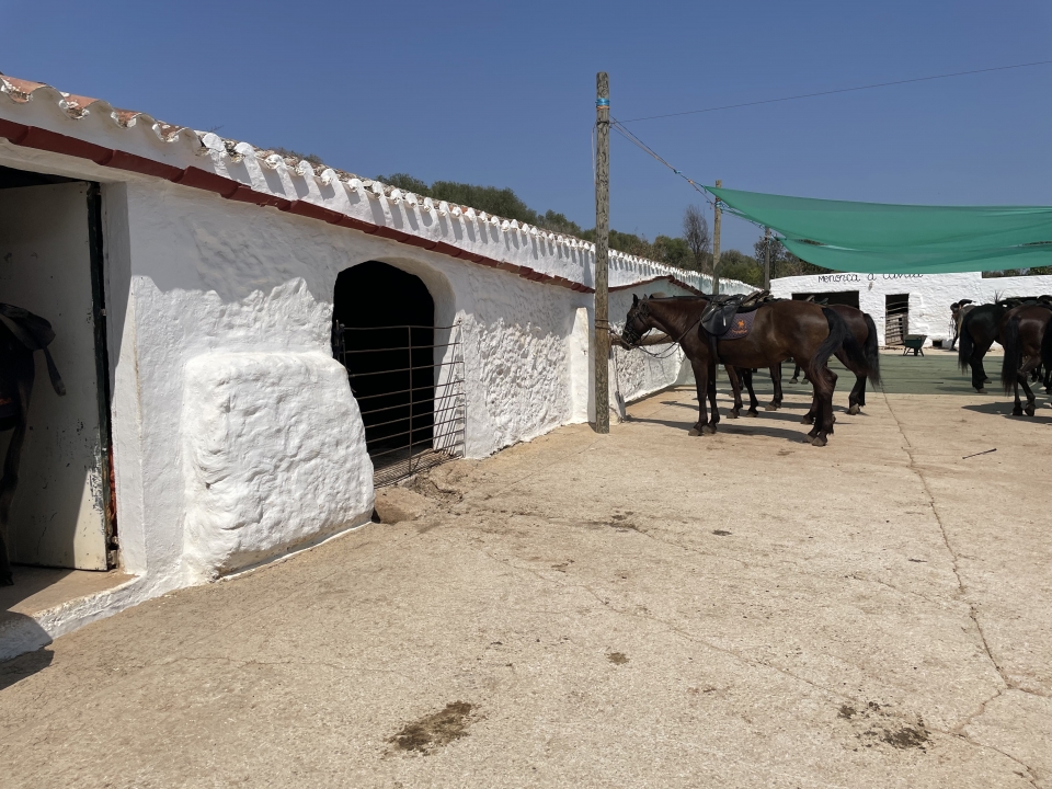 res_o-65255-rutas-a-caballo_de_coester-cyane_img-7502_17549127649282.jpeg res_o-65255-rutas-a-caballo_de_coester-cyane_img-7502_17549127649282.jpeg