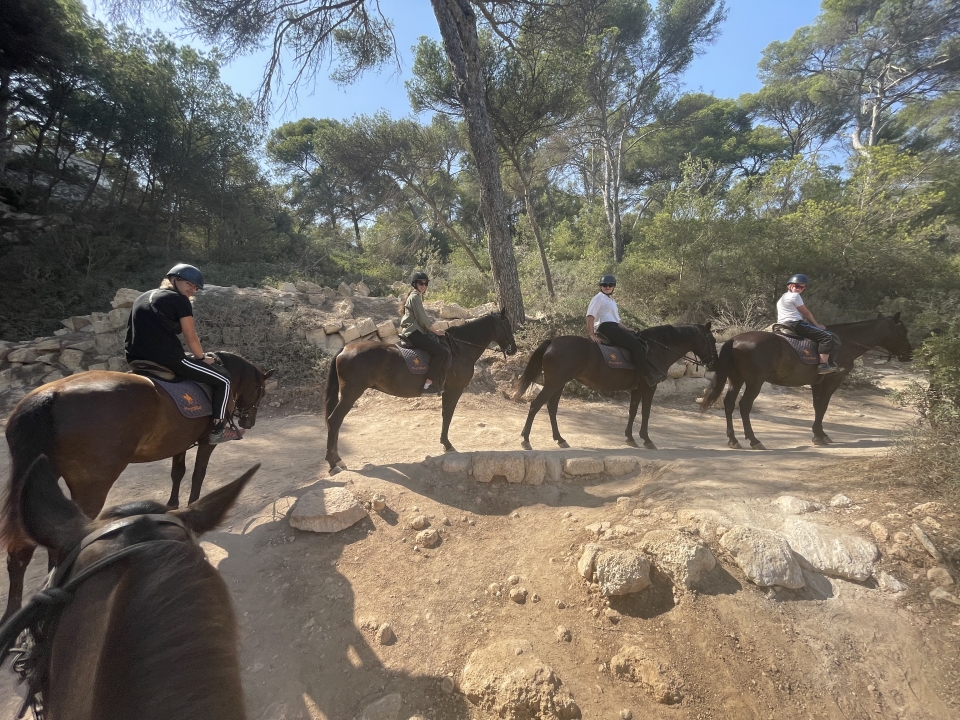 res_o-65255-rutas-a-caballo_de_coester-cyane_img-7511_1754912772546.jpeg res_o-65255-rutas-a-caballo_de_coester-cyane_img-7511_1754912772546.jpeg