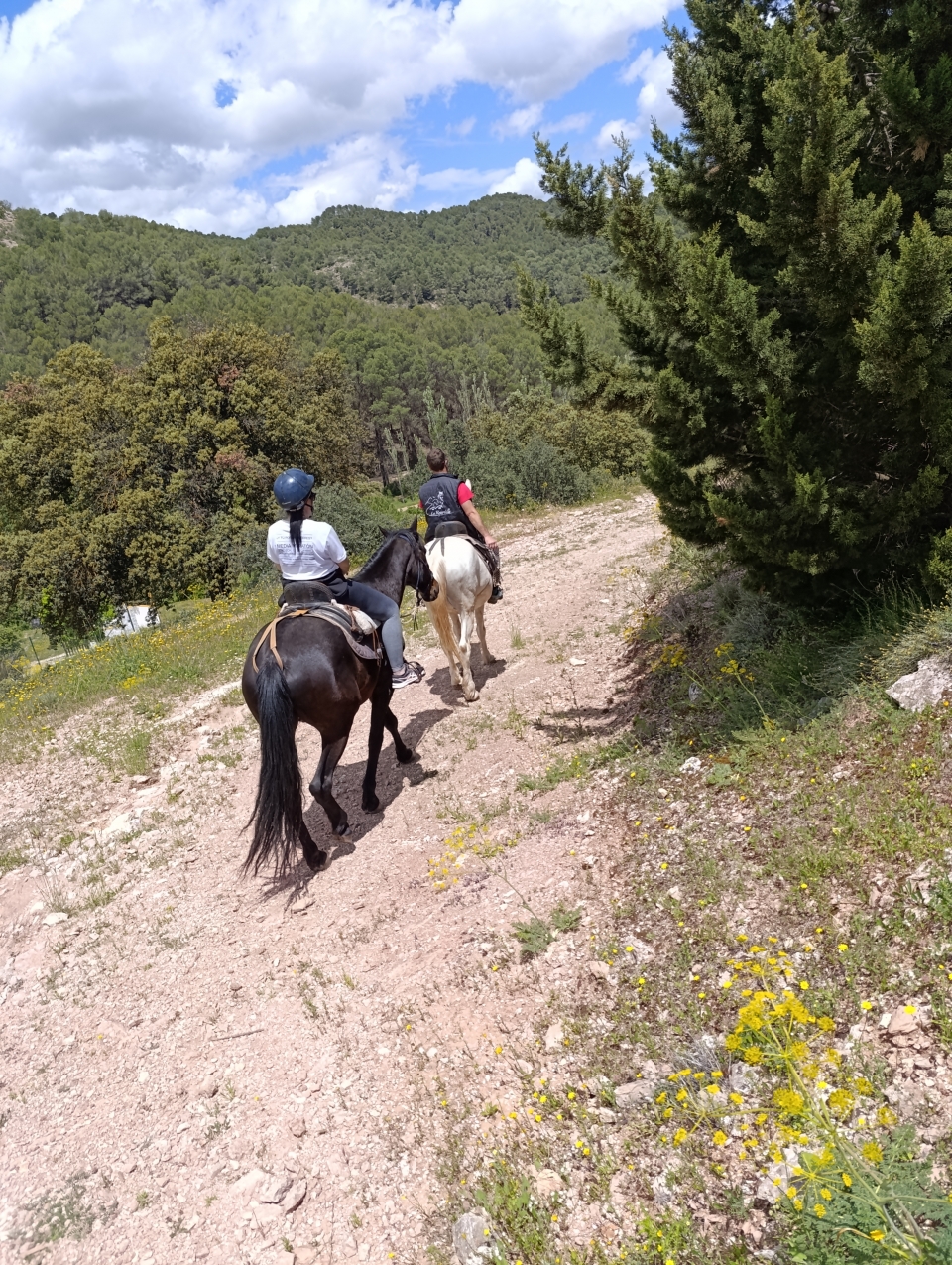 res_o-64765-rutas-a-caballo_de_esther-roca-gil_17515405907977.jpg