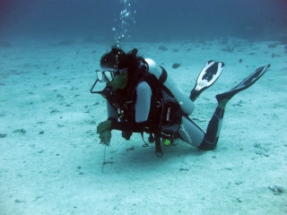 Buceo Donosti