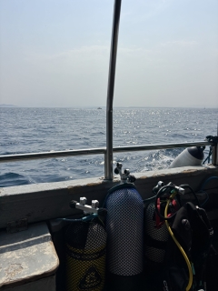 res_o-65443-buceo_de_danny-castellanos_img-4259_17556281319869.jpeg