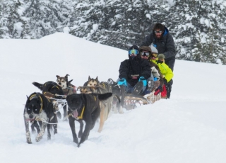 Montgarri Outdoor Mushing 