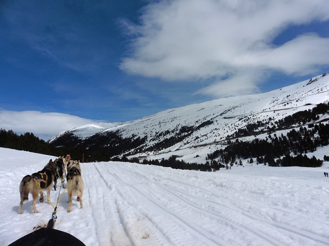 Opinión de Maria sobre Mushing 2km + Entrada Caldea Adultos 4h