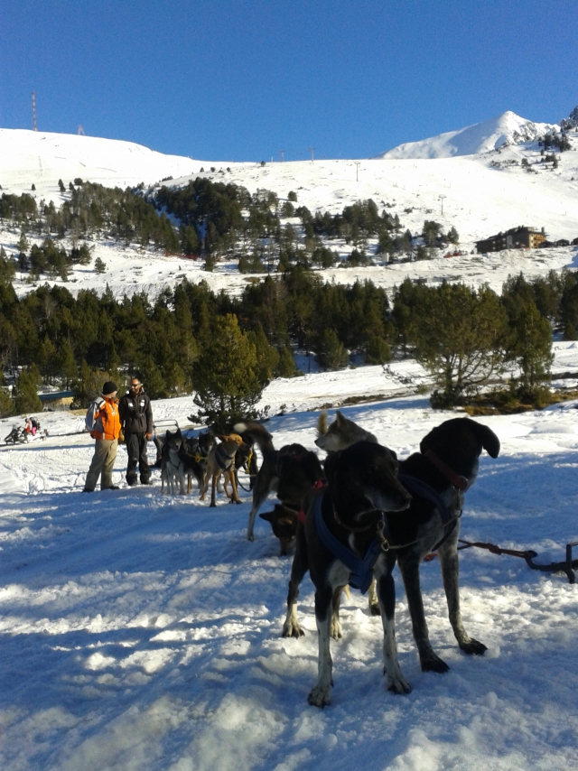 Opinión de IRATI sobre Conducción mushing 2 kilómetros en Grau Roig