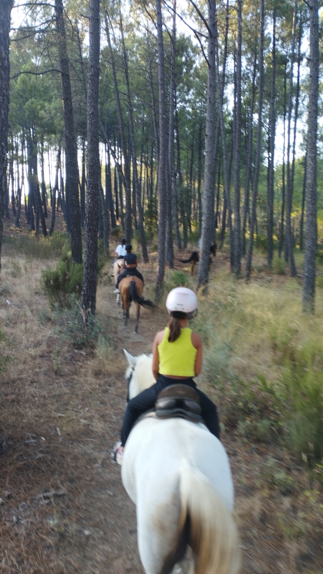 Opinión de Ludivine sobre Cabalgamarra Parque Regional Sierra Gredos 1h30