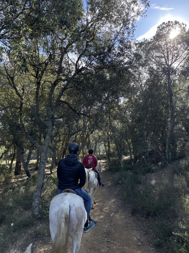 Opinión de Jairo sobre Cabalgamarra cerro de Palamós 1h con bebida
