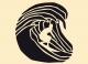 Barrika Surf Camp