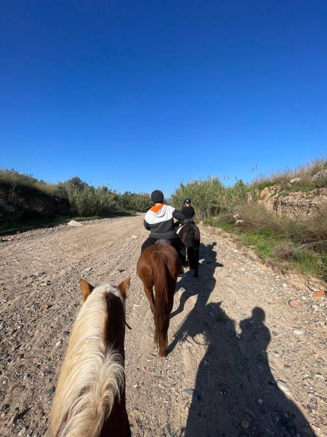 Opinión de Laura sobre Ruta caballo por la Senda de la Riera, 1 hora