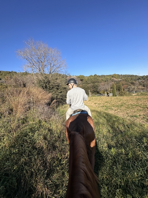 Opinión de Daniel sobre Cabalgamarra en Montseny 2 horas