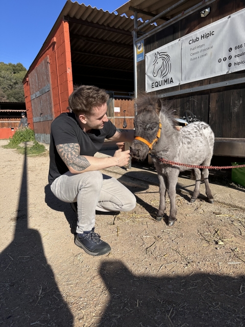 Opinión de Bryan sobre Cabalgamarra en Montseny 2 horas