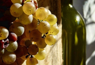 Bodegas Corellanas