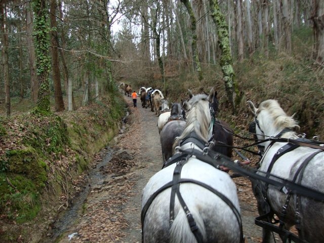 El Centauro Rutas a Caballo