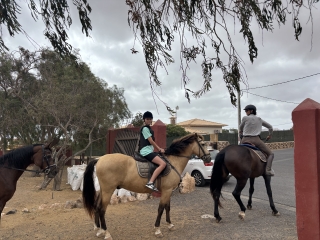 res_o-65014-rutas-a-caballo_de_blocksidge_17534619703040.jpeg