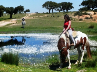 Finca MonteGallardo